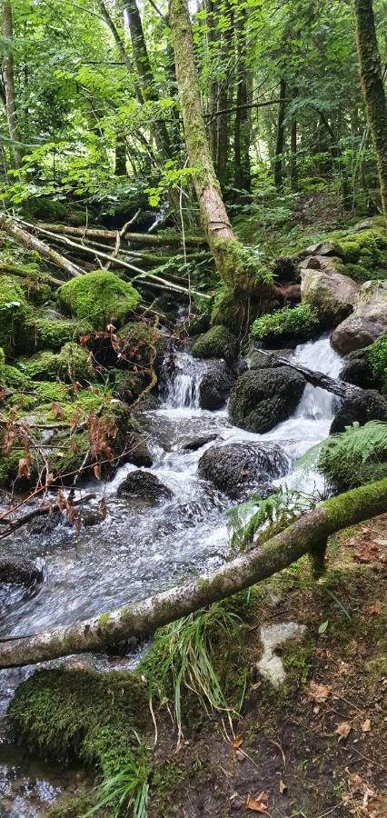 Black Forest Kuckucksnest Schoenwald Im Schwarzwald Exterior photo