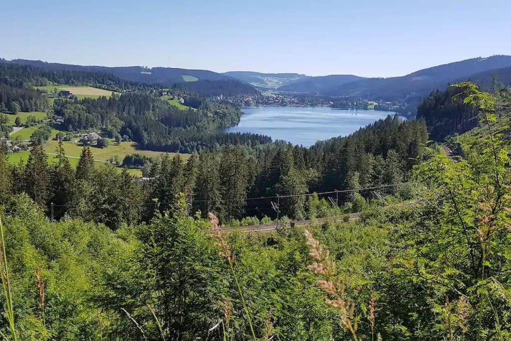 Black Forest Kuckucksnest Schoenwald Im Schwarzwald Exterior photo