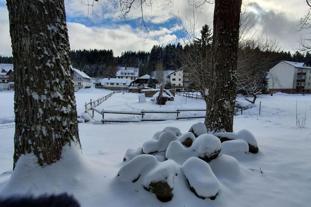 Black Forest Kuckucksnest Schoenwald Im Schwarzwald Exterior photo